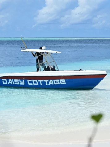 Rent a boat! Try it yourself!